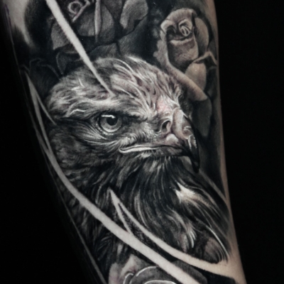 allatos 04 (9).jpg