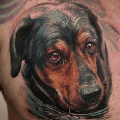 Animal 019.jpg