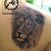 lion-tattoo.jpg